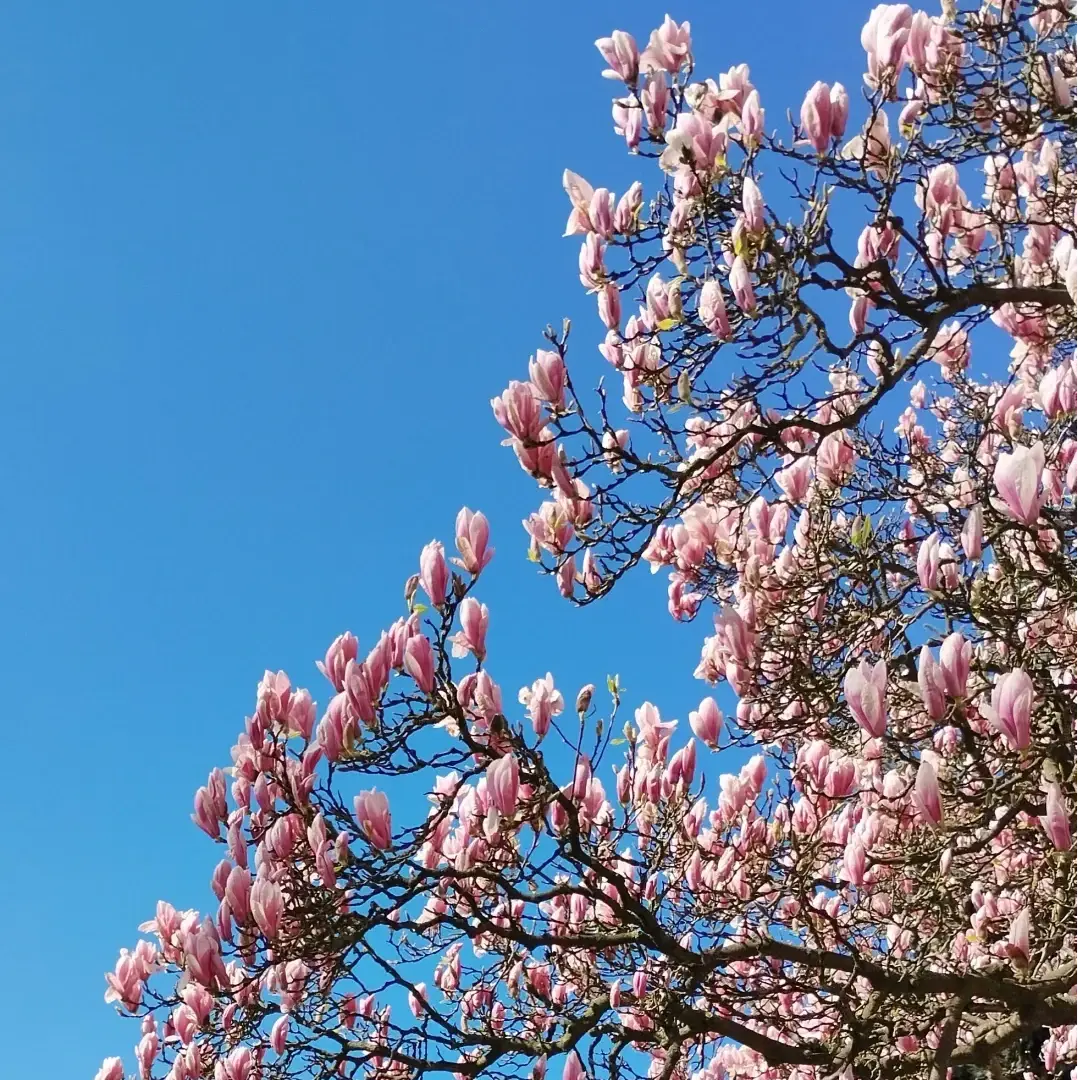 Nie żyj on - line. Żyj naprawdę